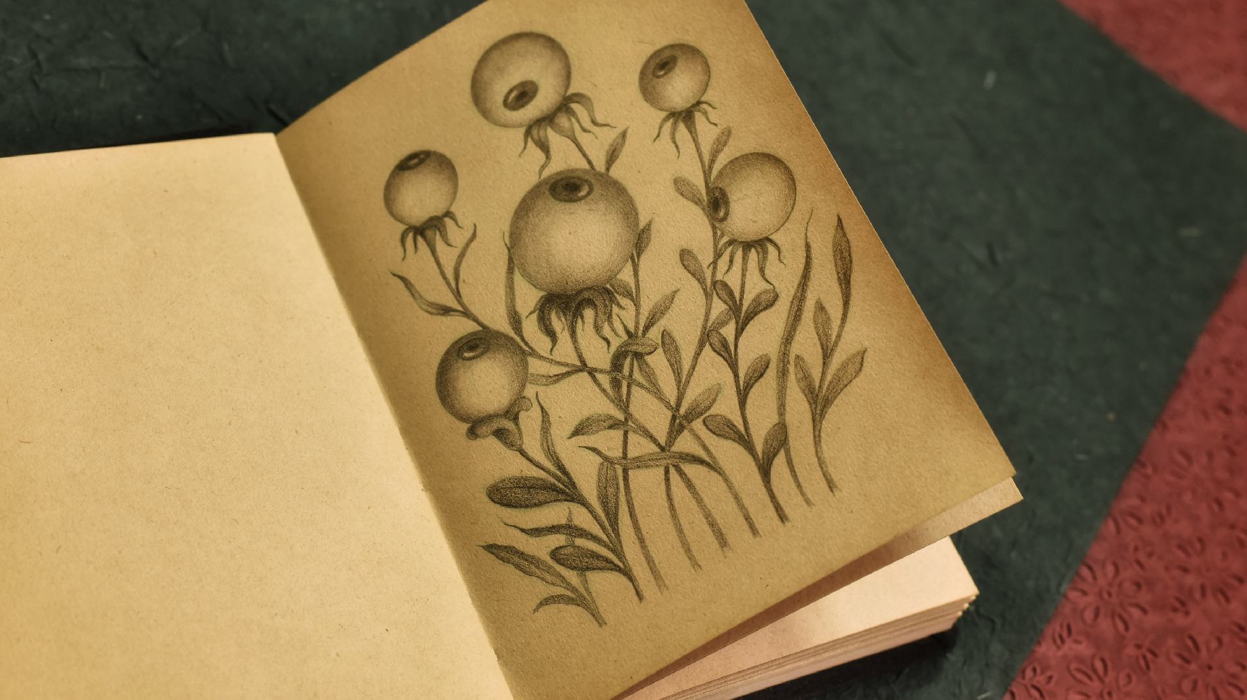 Drawing 5