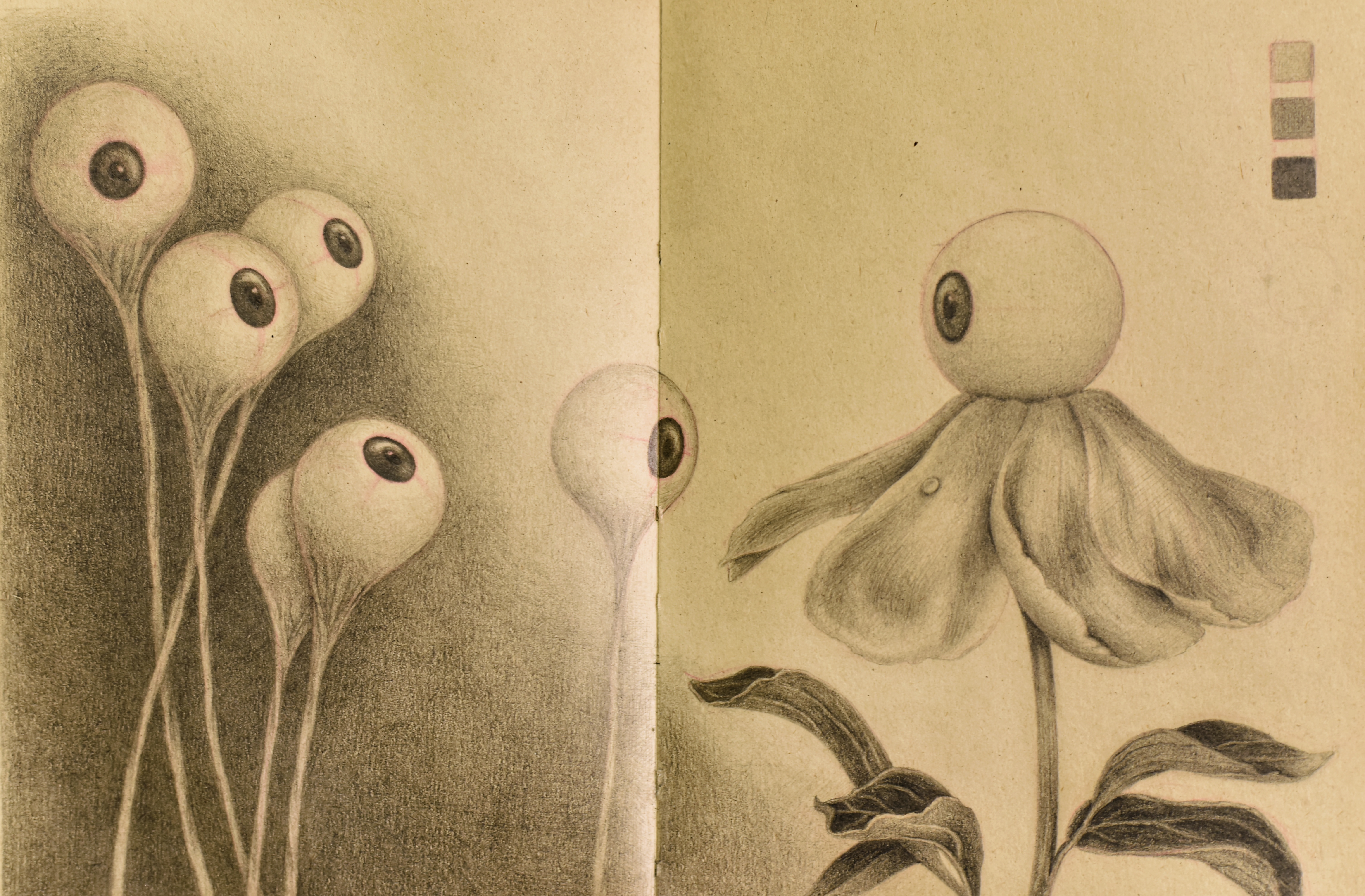 Eyeball 1